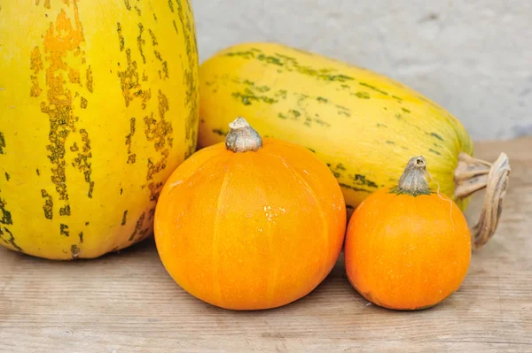 Pumpkins on wooden background — Stock Photo, Image