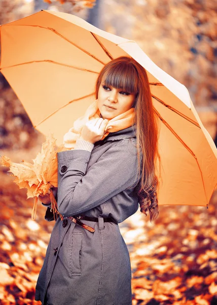 Schöne junge Frau ist in einem herbstlichen Park mit einem Regenschirm — Stockfoto