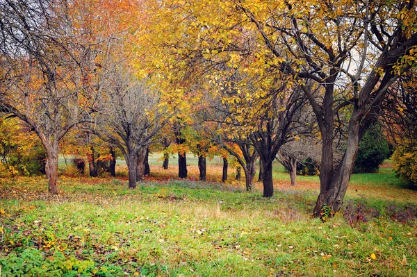 Un hermoso paisaje de otoño colorido — Foto de Stock