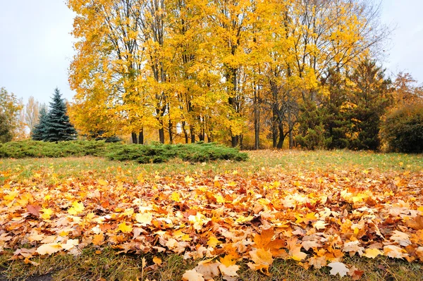 Un hermoso paisaje de otoño colorido — Foto de Stock