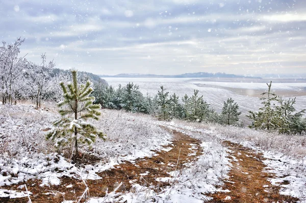 Beautiful landscape with first snow — Stock Photo, Image