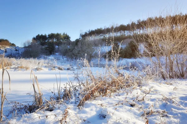 Vackert landskap med första snön — Stockfoto