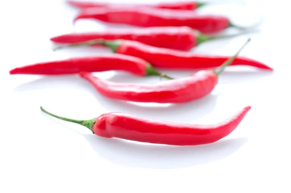 Horká červená paprika nebo chilli papričkou na bílém pozadí — Stock fotografie