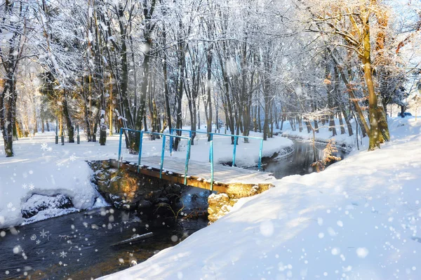 Beau paysage hivernal avec la rivière — Photo