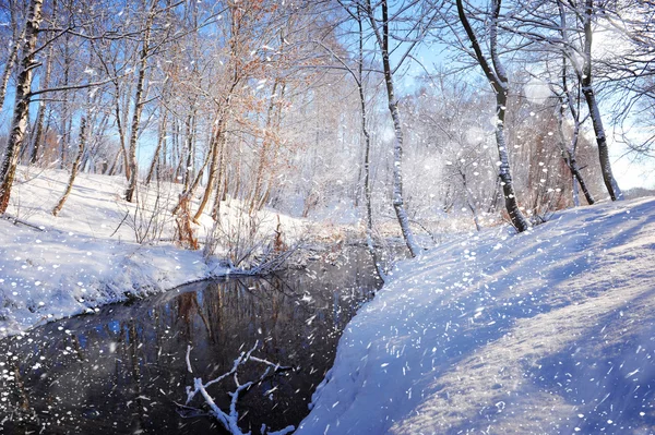 Güzel kış manzara nehir ile — Stok fotoğraf