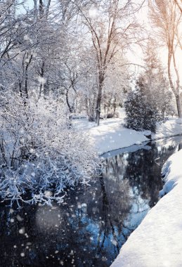 Kış manzara soğuk güneşli gün nehre ile