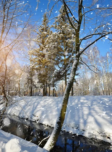 Beau paysage hivernal avec la rivière — Photo