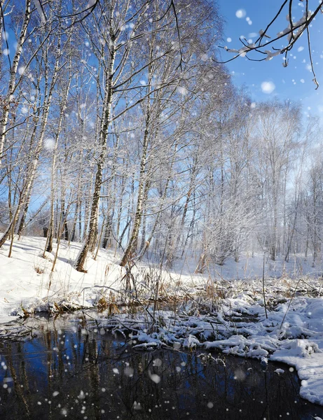 Krásná Zimní krajina s řekou — Stock fotografie