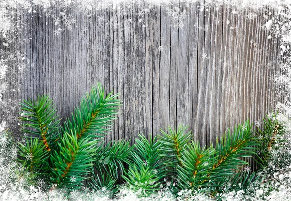 Christmas background: spruce twigs on the old wooden background — Stock Photo, Image