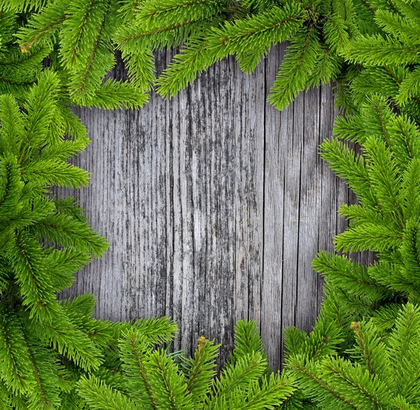 Encadrer les branches de pin sur un vieux fond de bois — Photo