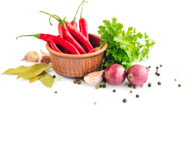 Salsa, dente de alho, cebola, pimenta vermelha e especiarias sobre fundo branco — Fotografia de Stock