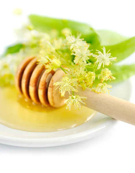 Honey dipper with honey with flowers of linden on white saucer — Stock Photo, Image