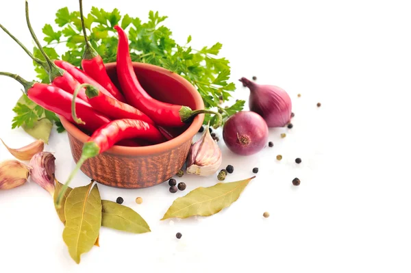 Salsa, dente de alho, cebola, pimenta vermelha e especiarias sobre fundo branco — Fotografia de Stock