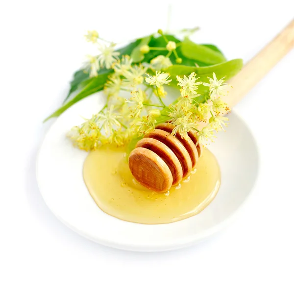 Honey dipper with honey with flowers of linden on white saucer — Stock Photo, Image