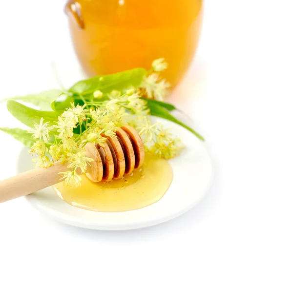 Trempette au miel avec des fleurs de tilleul sur soucoupe blanche — Photo