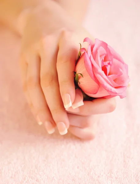 Closeup image of pink french manicure with rose — Stock Photo, Image