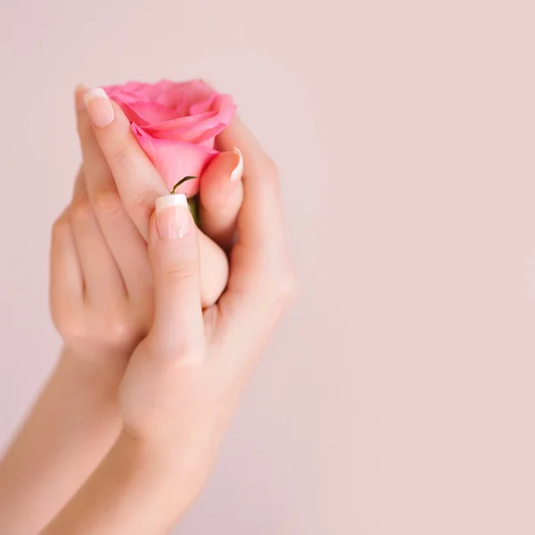 Nahaufnahme Bild der rosa Französisch Maniküre mit Rose — Stockfoto