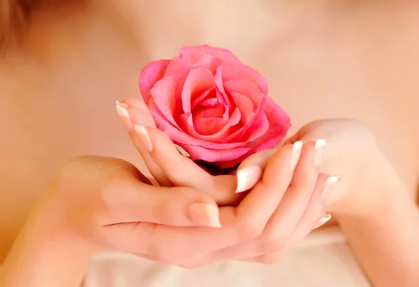 Image rapprochée de manucure française rose avec rose — Photo
