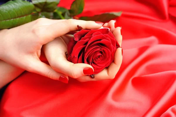 Red Rose in female hands on a background of red silk — Stock Photo, Image