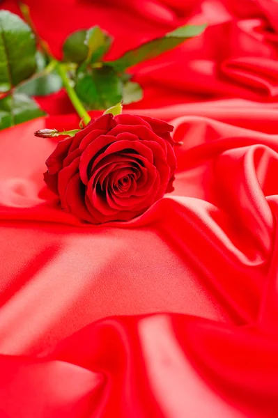 Червона троянда на червоному атласному фоні — стокове фото