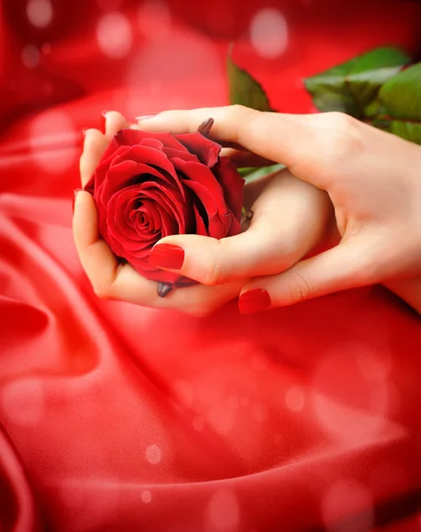 Rosa Rossa in mani femminili su uno sfondo di seta rossa — Foto Stock