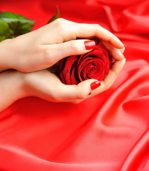Rosa vermelha em mãos femininas em um fundo de seda vermelha — Fotografia de Stock