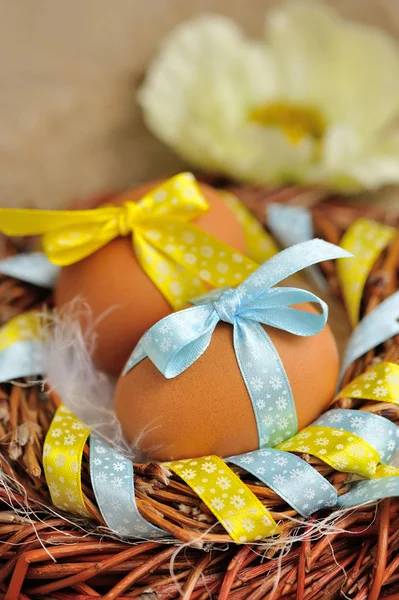 Easter eggs in the nest — Stock Photo, Image