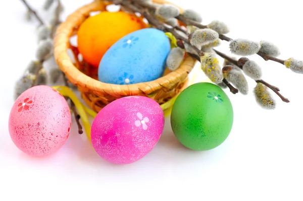 Colorful easter eggs and branches of willow on white background — Stock Photo, Image