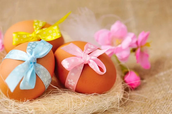 Easter eggs in the nest on a burlap — Stock Photo, Image