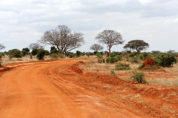 Paesaggio della Savana nel Parco Nazionale del Kenya — Foto Stock