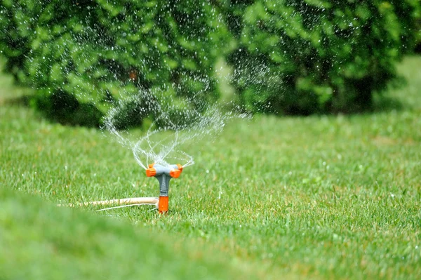 Garden sprinkler working — Stock Photo, Image
