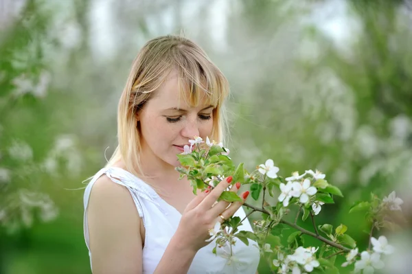 Vrouw in bloeiende apple blossoms tuin — Stockfoto