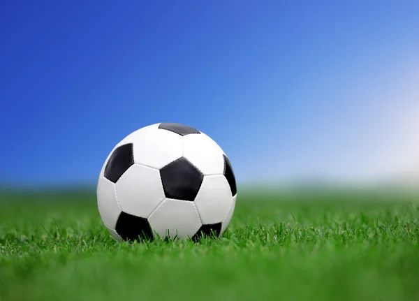 Pallone da calcio su erba verde — Foto Stock