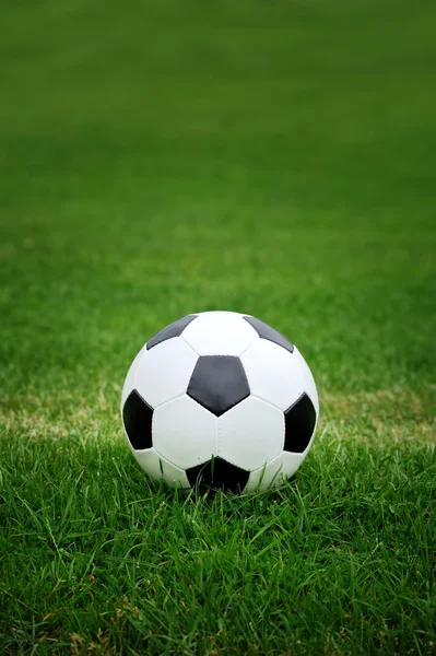 Pallone da calcio su erba verde — Foto Stock