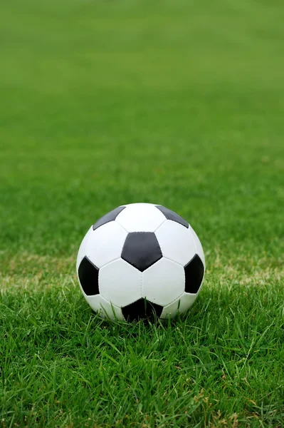Fotboll på grönt gräs — Stockfoto