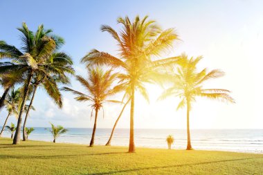 palm Beach üzerinde