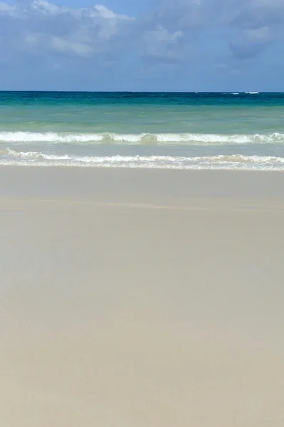 Summer beach and ocean — Stock Photo, Image