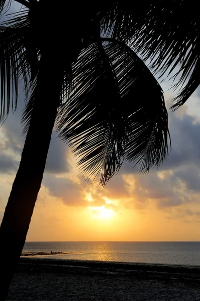 Puesta de sol sobre la playa tropical — Foto de Stock