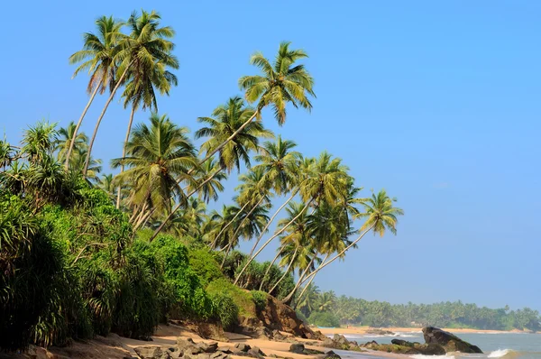 Praia tropical no Sri Lanka — Fotografia de Stock