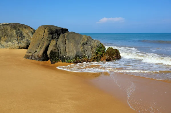 Plage tropicale au Sri Lanka — Photo