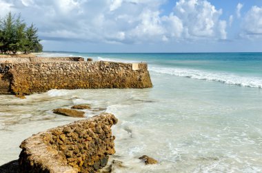 güzel bir plaj ve tropikal okyanus