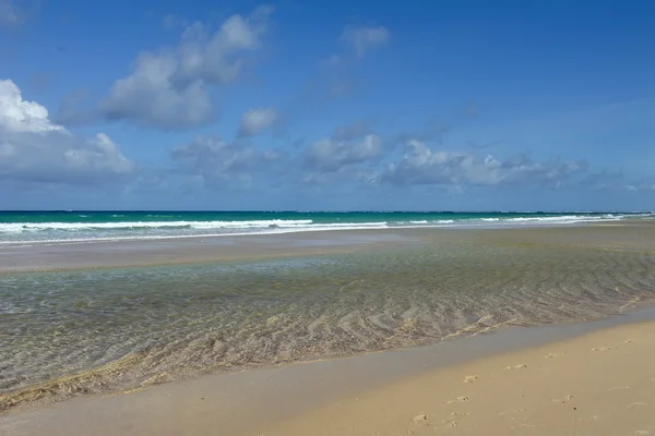 Playa de verano y océano —  Fotos de Stock