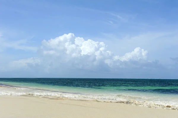 Lato plażę i ocean — Zdjęcie stockowe