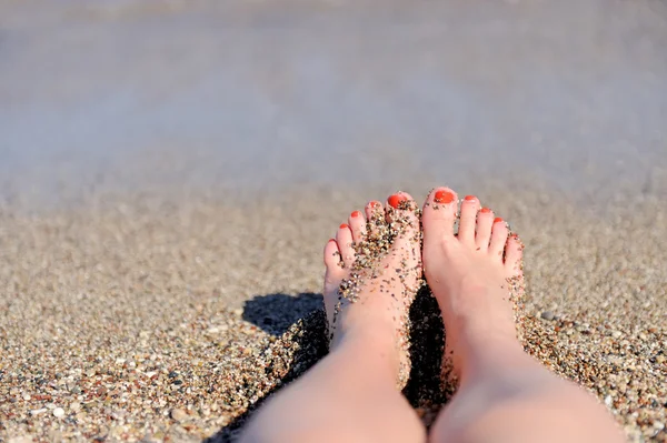 Women's beautiful legs — Stock Photo, Image