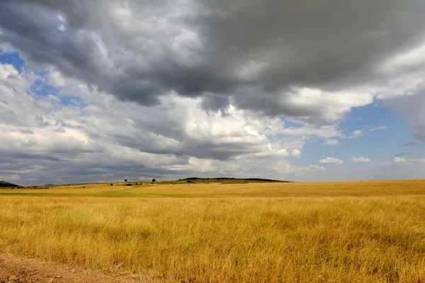 Paisaje de sabana en el Parque Nacional de Kenia —  Fotos de Stock