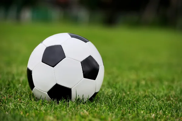 Pallone da calcio su erba verde — Foto Stock