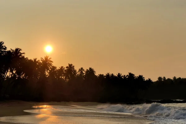 Красивый тропический закат с пальмами — стоковое фото