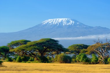 Kilimanjaro Afrika savana üzerinde