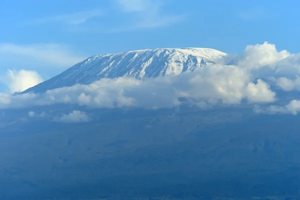 Kilimanjaro berg in Afrika — Stockfoto