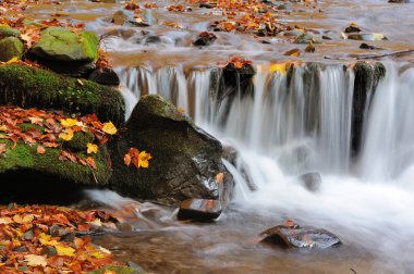 sonbahar orman şelale